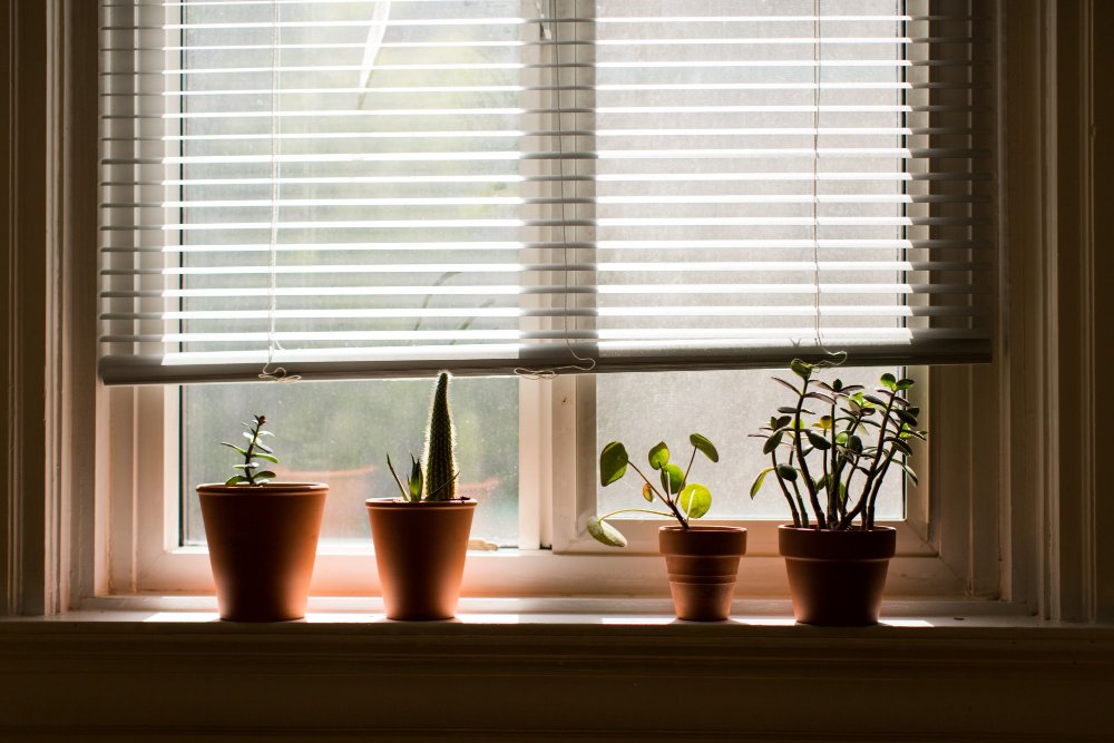 Blackout Blinds