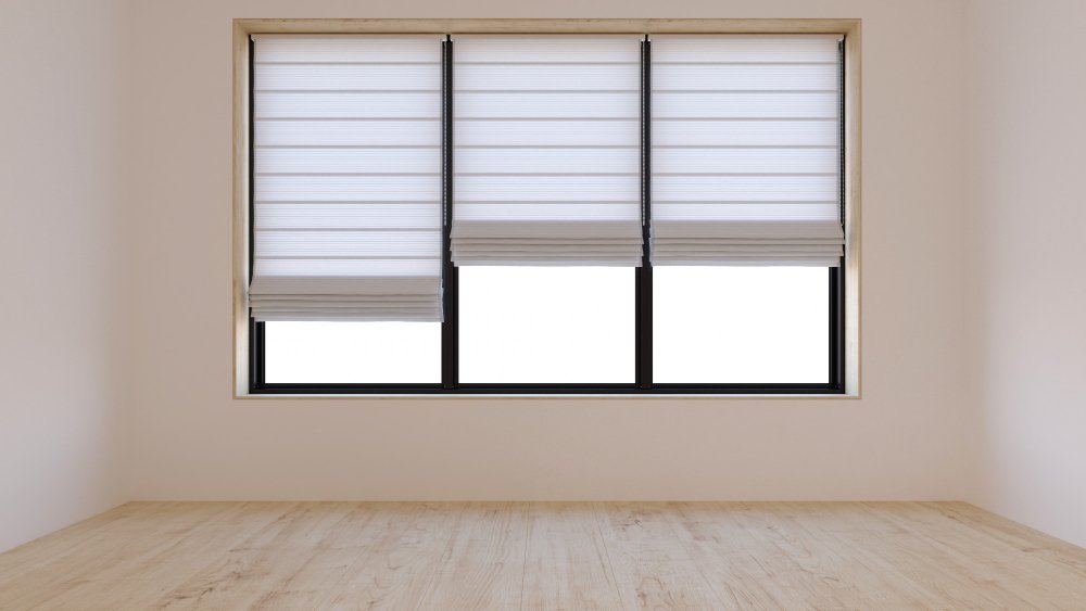 Venetian Blinds